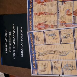 Skeleton atlas anatomy bundled